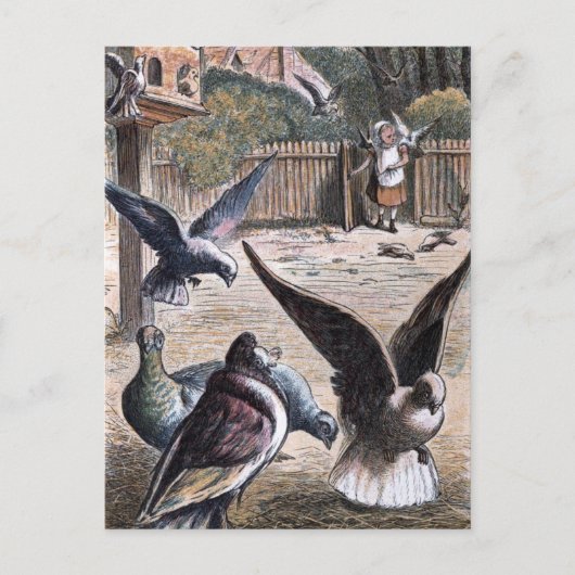  tekening: Drager Pidgeons Briefkaart (Voorkant)