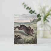  tekening: Het runnen van Hare op een Gebied Briefkaart (Staand voorkant)