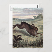  tekening: Het runnen van Hare op een Gebied Briefkaart (Voorkant / Achterkant)