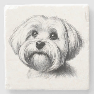 Tekening Maltese hond Stenen Onderzetter