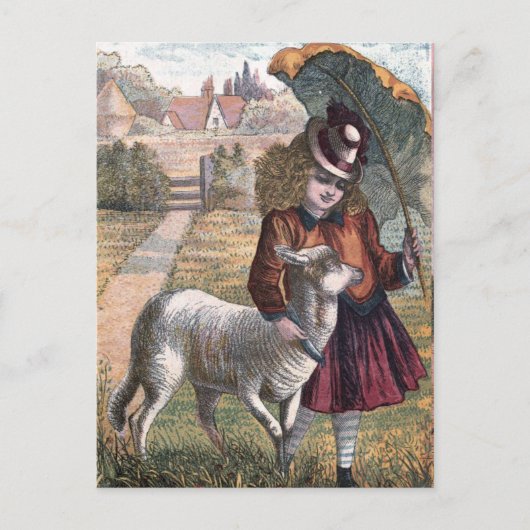  tekening: Marry's kleine Lamb Briefkaart (Voorkant)