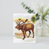  tekening: rendier in de sneeuw briefkaart (Staand voorkant)