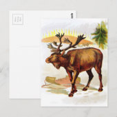  tekening: rendier in de sneeuw briefkaart (Voorkant / Achterkant)