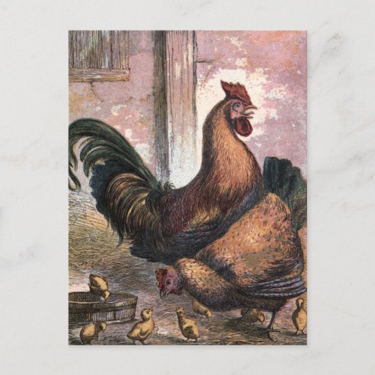 tekening: Rooster en Hen Briefkaart (Voorkant)