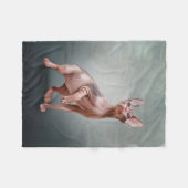 Tekening Sphynx kitten Fleece Deken (Voorkant (Horizontaal))
