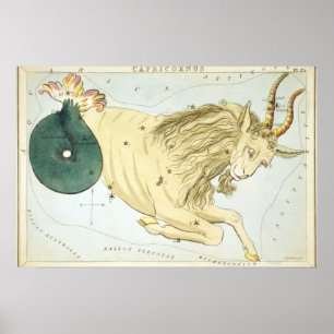Tekening van astrologische Steenbok Poster