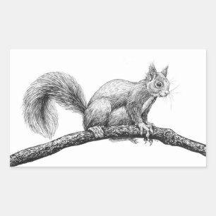 Tekening van de eekhoorn rechthoekige sticker