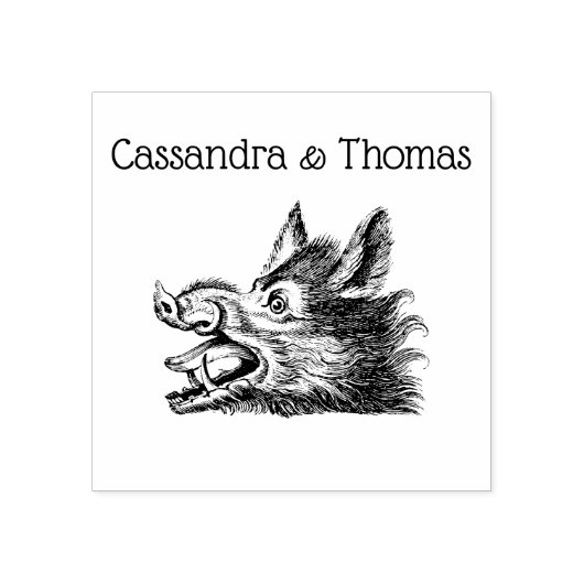  tekening van de trekbaan van de Wilde Boer Rubberstempel (Afrduk)