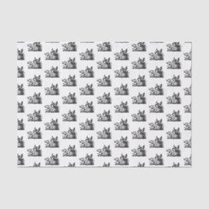 tekening van de trekbaan van de Wilde Boer Tissuepapier