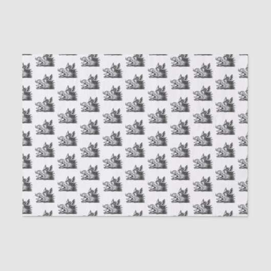  tekening van de trekbaan van de Wilde Boer Tissuepapier (Voorkant)