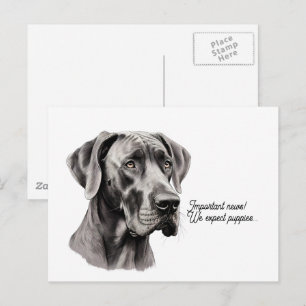 Tekening van een Deense Dog kop Briefkaart