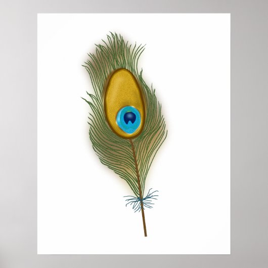 Tekening van één enkele peacock-vanger poster (Voorkant)