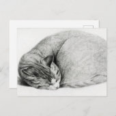  tekening van een keuken briefkaart (Voorkant / Achterkant)