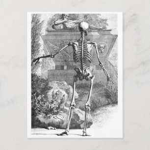 tekening van een naar achteren gericht skelet briefkaart