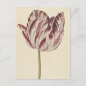 tekening van een witte en rode lip briefkaart (Voorkant)