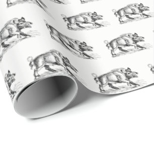 Tekeningen van een oud everzwijn zwart-wit #2 cadeaupapier
