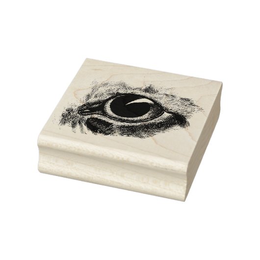  tekenkat Oogkunst Illustratie Rubberstempel (Stempel)