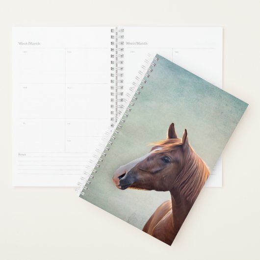 Tekenportret paard planner (Display)