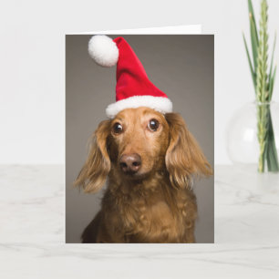 Tekkel die het Pet van de Kerstman van Kerstmis Feestdagen Kaart