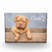 Tekst wordt gepersonaliseerd door aangepaste foto  (Voorkant)