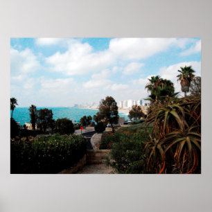 Tel Aviv foto van Abrasha Park, Jaffa, Israël Poster