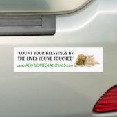 Tel je zegeningen - BUMPERSTICKER (Op auto)