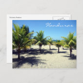 telappalmen briefkaart (Voorkant / Achterkant)