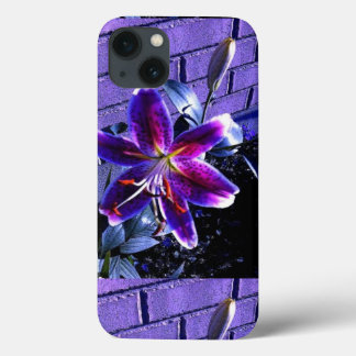 telefoon iPhone 13 hoesje