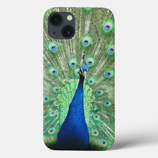 Telefoondraagtas - Proud Peacock Case-Mate iPhone Case (Achterkant)