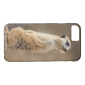 Telefoondraagtas van Meerkat Case-Mate iPhone Case (Achterkant (Horizontaal))