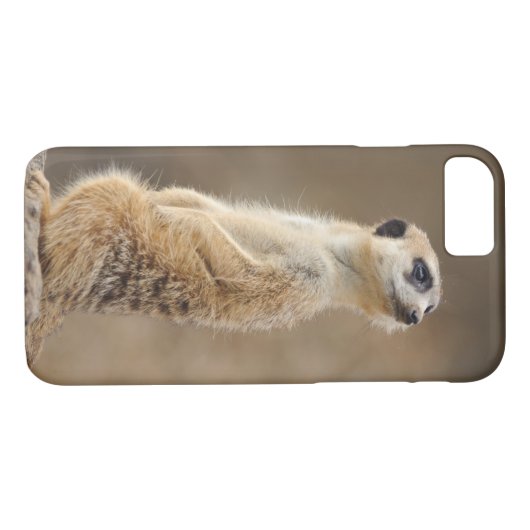 Telefoondraagtas van Meerkat Case-Mate iPhone Case (Achterkant (Horizontaal))