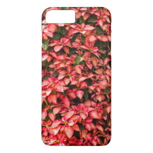Telefoongevallen Red Poinsettia iPhone 8 Plus / 7 Plus Hoesje