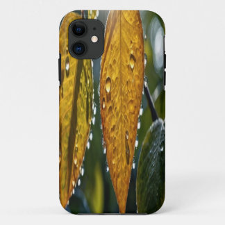  telefoonhoes – Creëer uw eigen ontwerp! iPhone 11 Hoesje