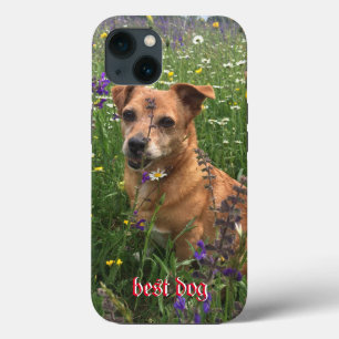 Telefoonhoesje fotograaf iPhone 13 hoesje