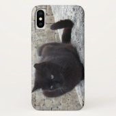 Telefoonkoffers met zwarte kat Case-Mate iPhone case (Achterkant)