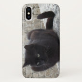 Telefoonkoffers met zwarte kat Case-Mate iPhone case (Achterkant)