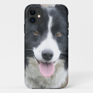 Telefoonnummer rand collie iPhone 11 hoesje