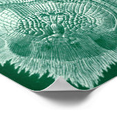 Teleostei Fish and Shells door Ernst Haeckel Poster (Hoek)