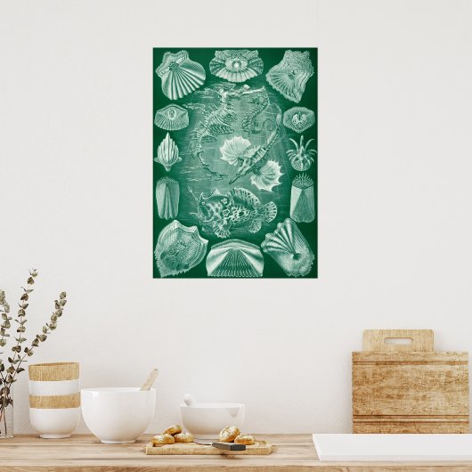  Teleostei Fish and Shells door Ernst Haeckel Poster (Keuken)