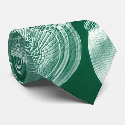  Teleostei schelpen en vissen van Ernst Haeckel Stropdas (Opgerold)