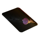 Telescope Milky Way | San Agustin New Mexico Magneet (Rechterzijde)