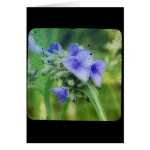 Télévision à écran plat floral violet