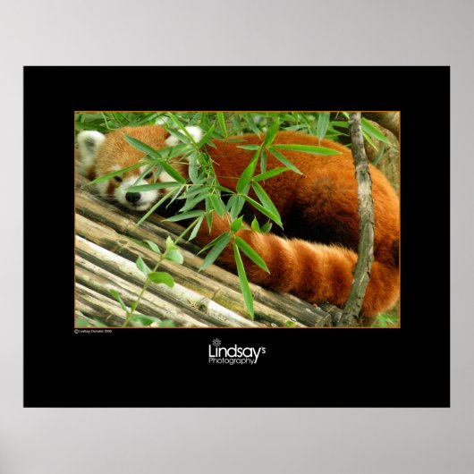 Tello Poster (Voorkant)