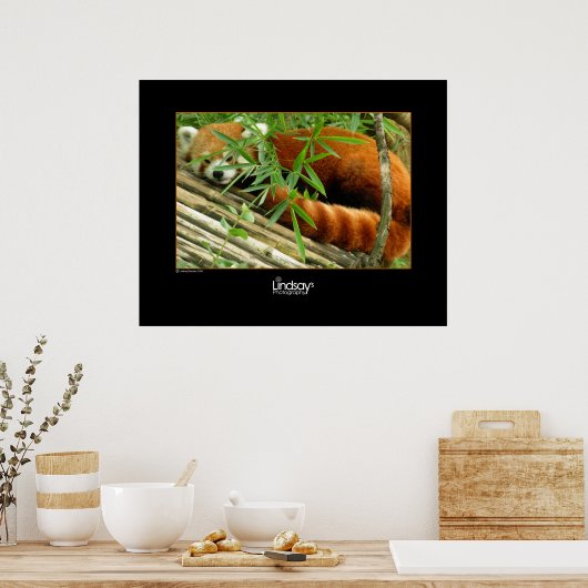 Tello Poster (Keuken)