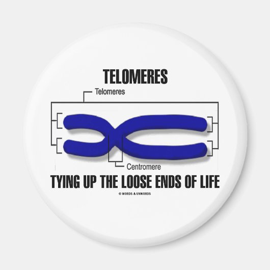 Telomeren die de losse eindpunten van het leven va magneet (Voorkant)