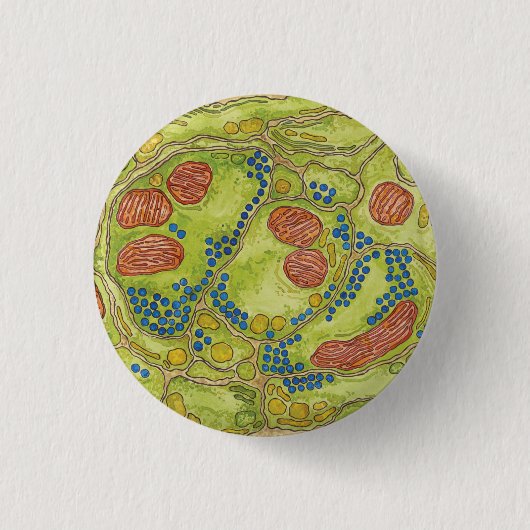 TEM synapse - Pin & Button (Voorkant)