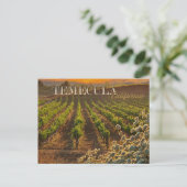 Temecula Wijn Land Briefkaart Wijngaard (Staand voorkant)