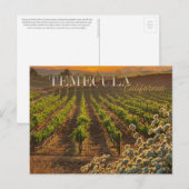 Temecula Wijn Land Briefkaart Wijngaard (Voorkant / Achterkant)