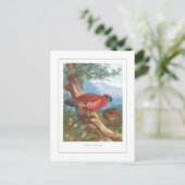 Temminck's Tragopan Briefkaart (Staand voorkant)