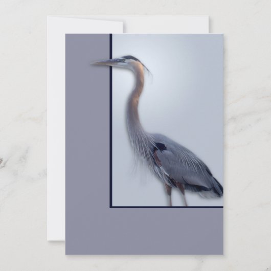 temp Blank Ann nieuw (Voorkant)